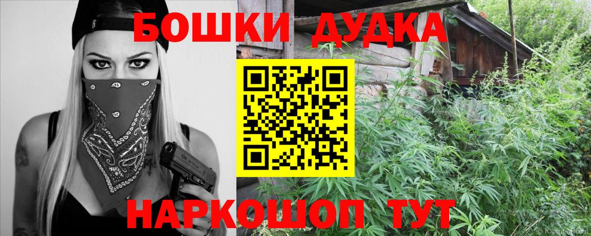 Бошки Шишки конопля Киселёвск